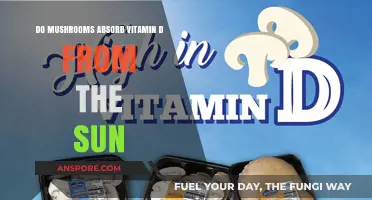 Can Mushrooms Soak Up Sunlight to Boost Vitamin D Levels?