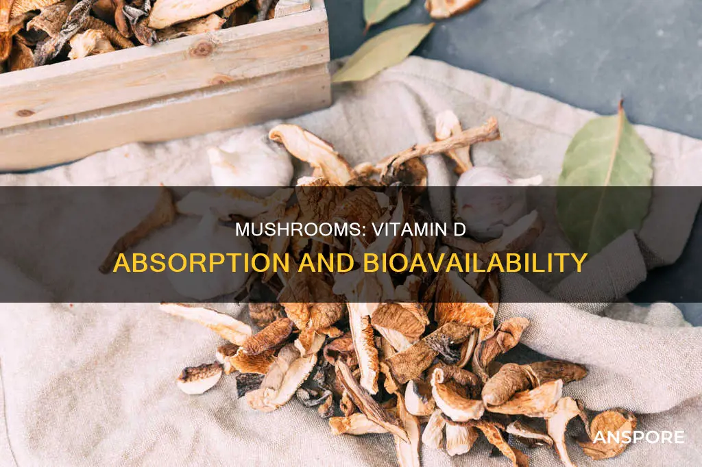 do mushrooms absorb vitamin d