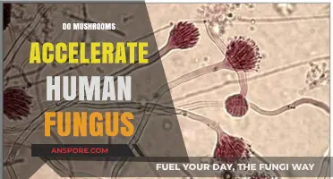 Mushrooms' Impact: Human Fungus Acceleration