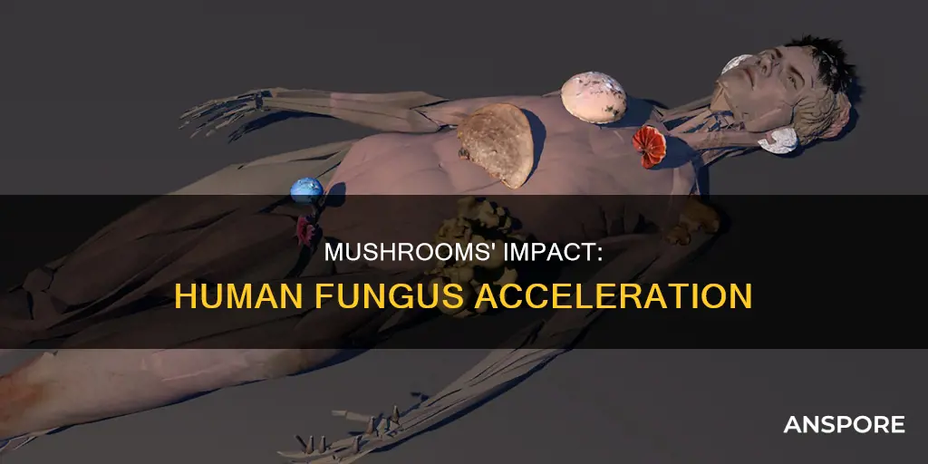 do mushrooms accelerate human fungus