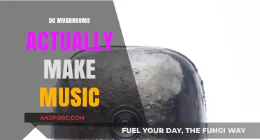 Mushrooms' Musical Mystery: Do Fungi Compose Hidden Sonic Symphonies?