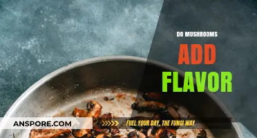 How Mushrooms Enhance Flavor in Your Favorite Dishes