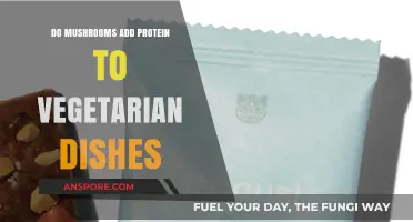 Mushrooms: A Protein-Packed Addition to Vegetarian Meals?