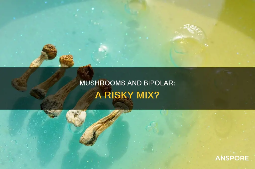 do mushrooms affect bipolar treatment