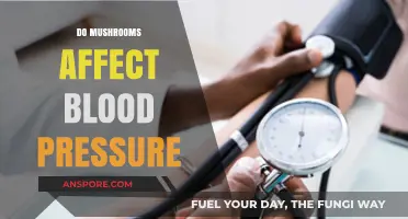 Mushrooms: A Natural Way to Manage Blood Pressure?