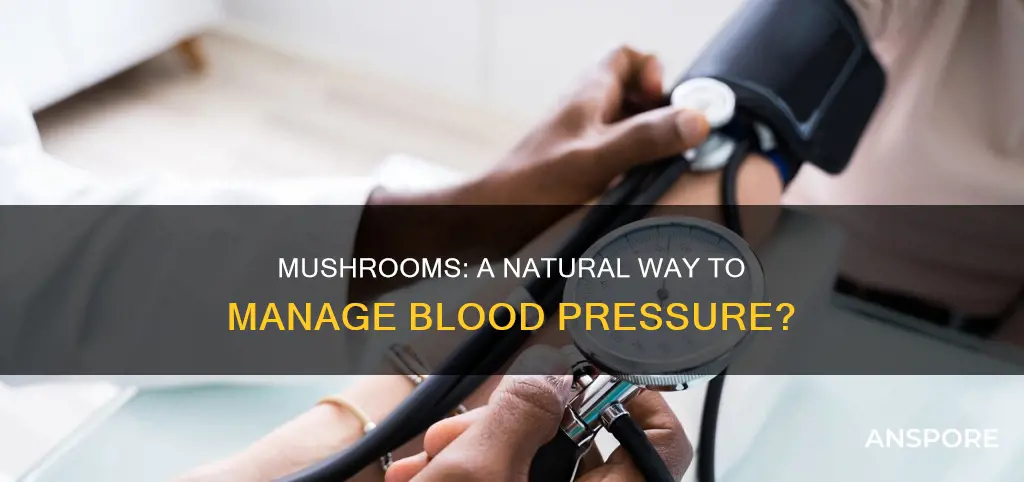 do mushrooms affect blood pressure