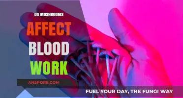 Mushrooms and Blood Work: What You Need to Know