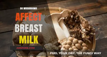 Mushrooms and Breast Milk: What You Need to Know