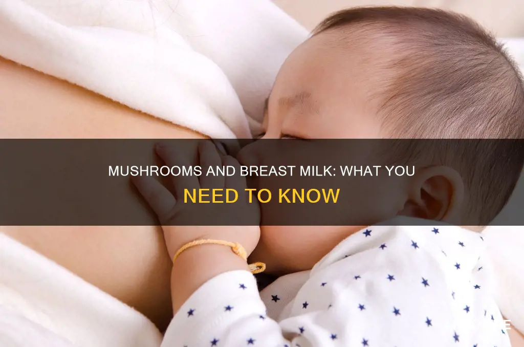 do mushrooms affect breast milk