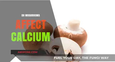 Mushrooms and Calcium: A Complex Relationship