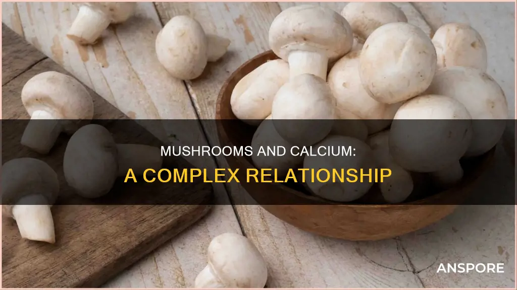 do mushrooms affect calcium