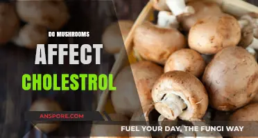 Mushrooms: Cholesterol's Friend or Foe?
