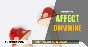 Mushrooms and Dopamine: The Surprising Link