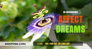Mushrooms: Enhancing Dreams or Nightmares?