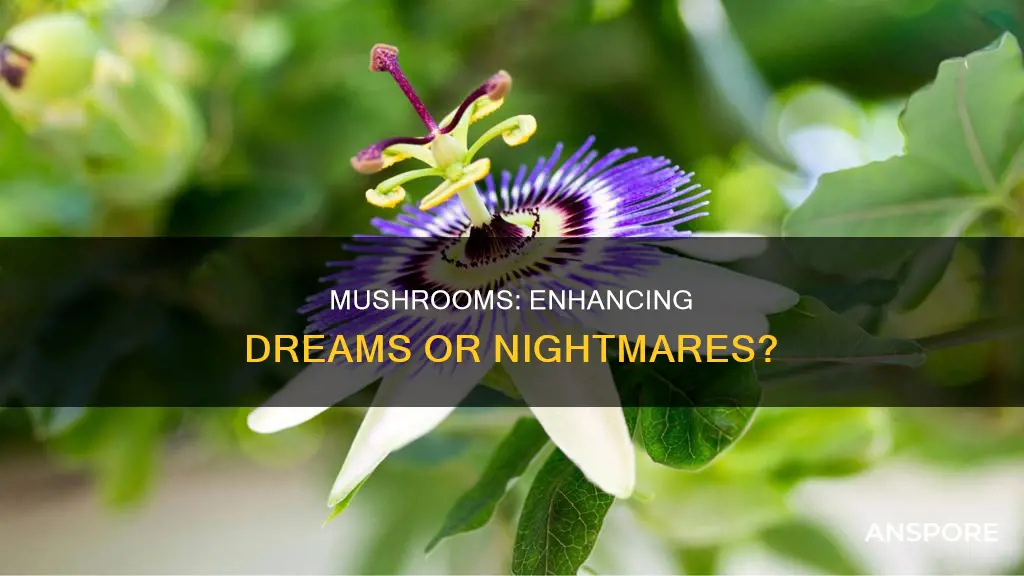 do mushrooms affect dreams