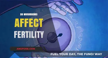 Mushrooms and Fertility: What You Need to Know
