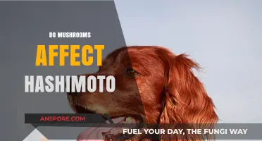 Mushrooms and Hashimoto's: What's the Connection?