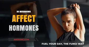 Mushrooms and Hormones: A Complex Relationship