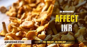 Mushrooms and INR: A Dietary Concern