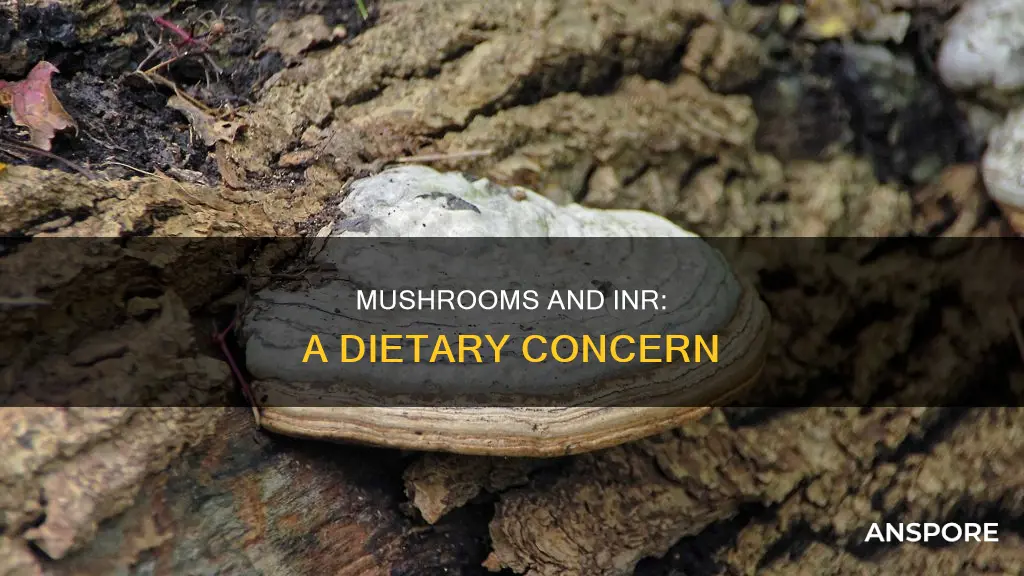 do mushrooms affect inr
