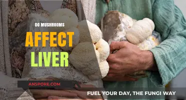 Mushrooms and Liver: What's the Connection?