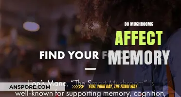 Mushrooms' Impact on Memory: Enhancing or Impairing?