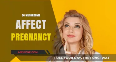 Mushrooms During Pregnancy: Safe or Not?
