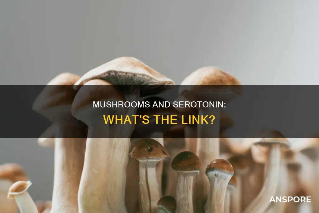 do mushrooms affect serotonin
