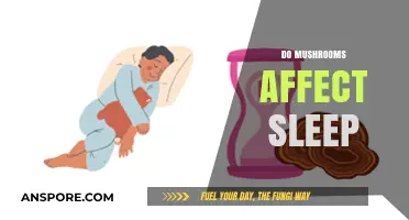 Mushrooms: Sleep Aid or Sleep Stealer?