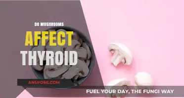 Mushrooms and Thyroid: A Complex Relationship