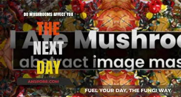 Mushroom After-Effects: Next-Day Impacts Explained and Debunked