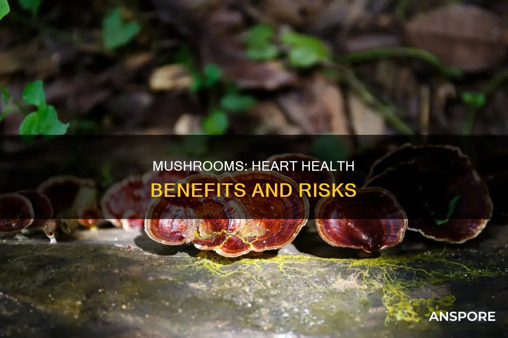 do mushrooms affect your heart