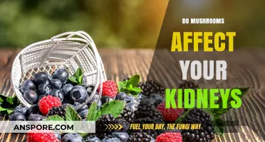 Mushrooms and Kidney Health: What You Need to Know