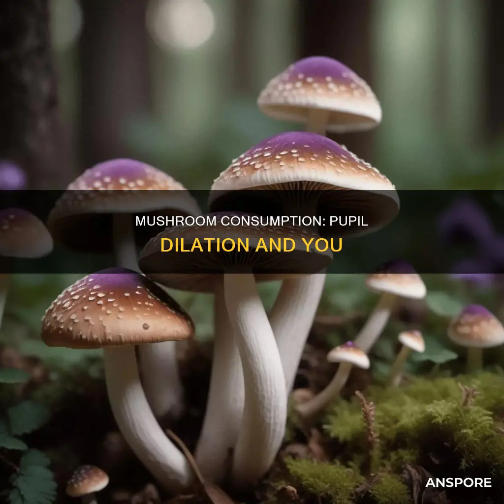 do mushrooms affect your pupils