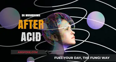 Tripping Safely: Mushrooms After Acid