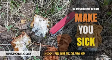 Do Mushrooms Always Make You Sick? Debunking Myths and Facts