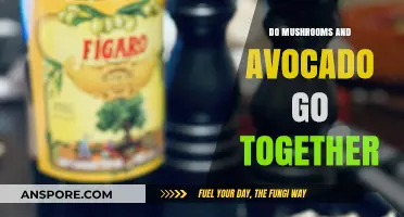 Mushrooms and Avocado: A Flavorful Match or Culinary Clash?