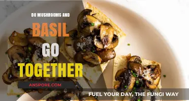 Mushrooms and Basil: A Flavorful Culinary Match Made in Heaven?