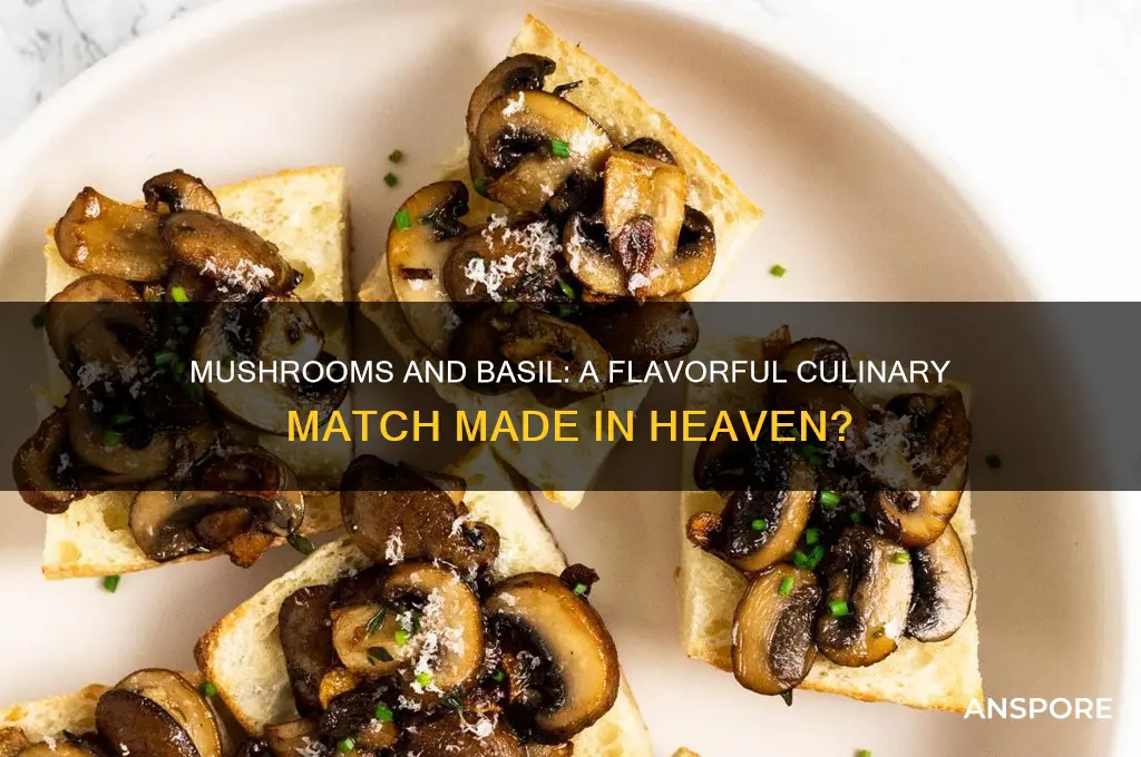 do mushrooms and basil go together