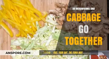 Mushrooms and Cabbage: A Flavorful Pairing or Culinary Clash?