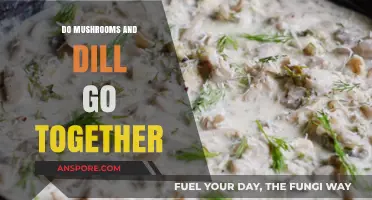 Mushrooms and Dill: A Flavorful Match Made in Culinary Heaven?