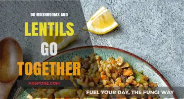 Mushrooms and Lentils: A Flavorful, Nutritious Culinary Match Made in Heaven