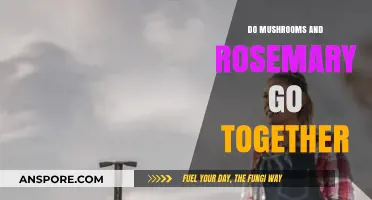 Mushrooms and Rosemary: A Flavorful Pairing Worth Exploring