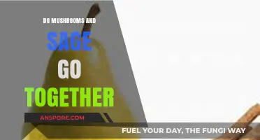 Mushrooms and Sage: A Flavorful Culinary Match Made in Heaven?