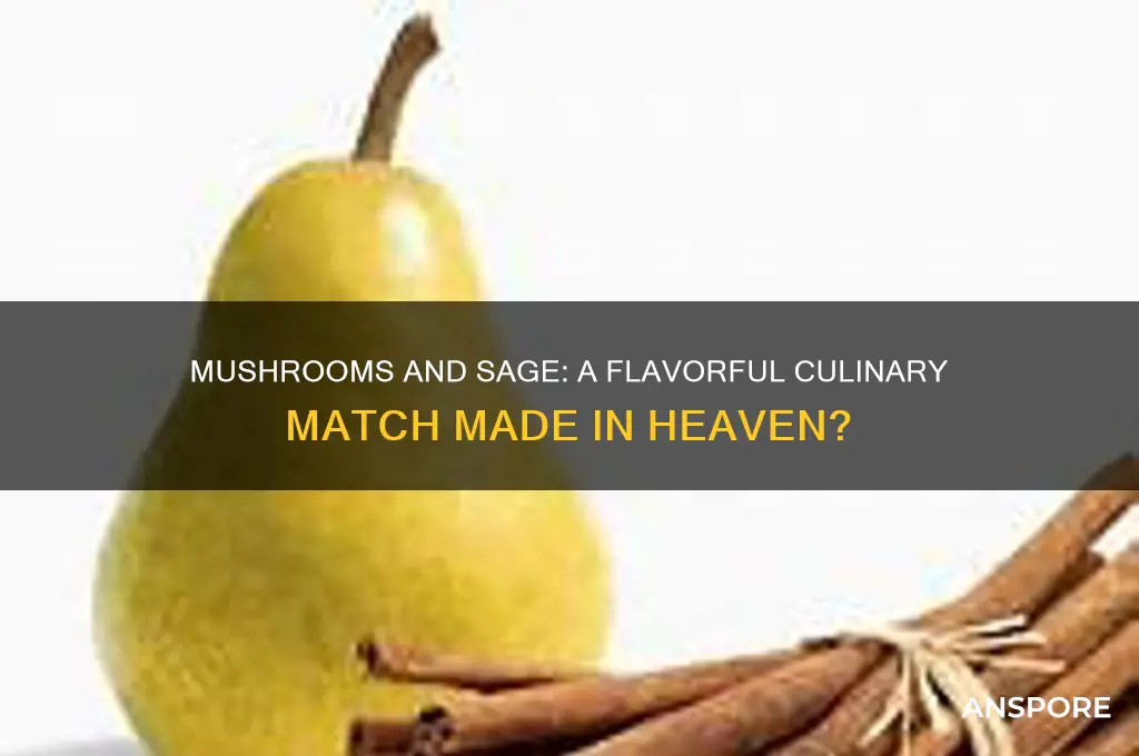 do mushrooms and sage go together