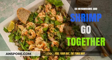 Mushrooms and Shrimp: A Culinary Match Made in Heaven?