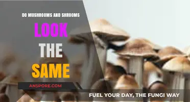 Mushrooms vs. Shrooms: Unraveling the Visual Similarities and Differences