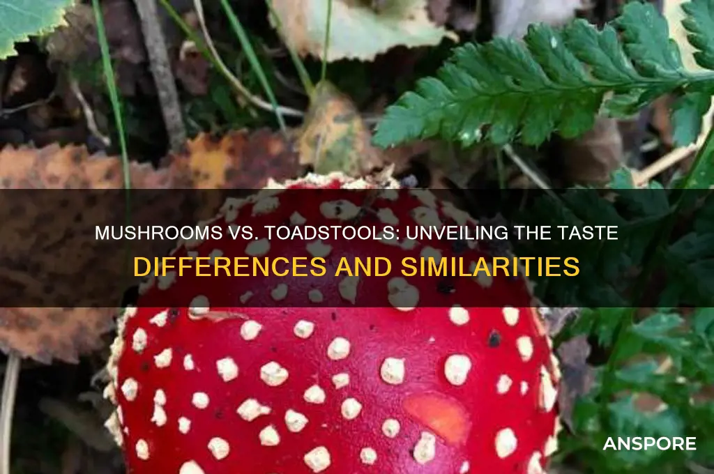 do mushrooms and toadstools taste the same