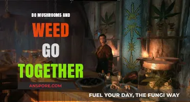 Mushrooms and Weed: Exploring the Synergy and Effects Together