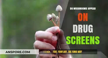 Do Mushrooms Show Up on Drug Tests? The Truth Revealed